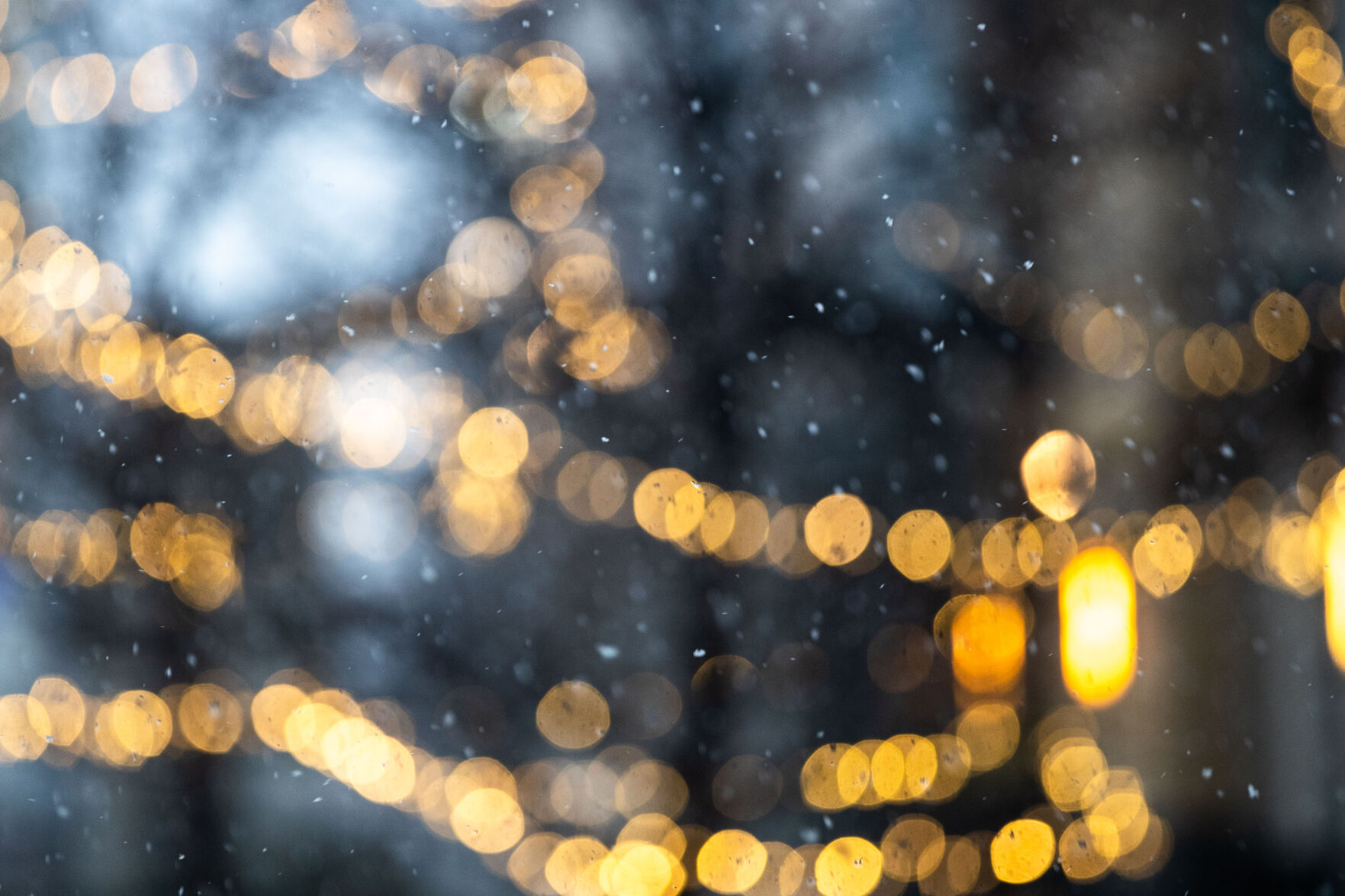 011521-owh-new-snow-LS04.jpg